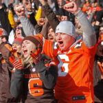 Browns vs. Dolphins fans in the stands