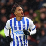 AFC Bournemouth v Brighton & Hove Albion FC - Premier League