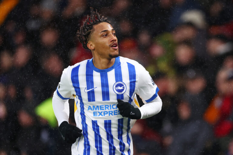 AFC Bournemouth v Brighton & Hove Albion FC - Premier League